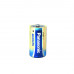 Panasonic EVOLTA D BLI 2 ALKALINE battery (LR20EGE/2BP)