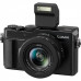 PANASONIC LUMIX DC-LX100 II camera (DC-LX100M2EE)