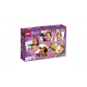 Designer of LEGO Friends Friendship Casket (41346 L)