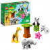 Designer of LEGO DUPLO of the Animal (10904 L)