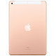 IPad 10.2 Apple tablet