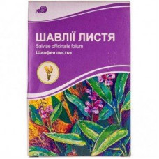 Sage leaves in packs with an internal package of 40 g