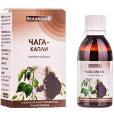 Chaga of a drop for normalization of processes of digestion, 50 ml