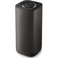 Portable acoustics of Philips BM6B