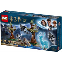 Конструктор LEGO Harry Potter ТМ Экспекто Патронум (75945)