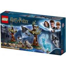 Designer of LEGO Harry Potter TM Expekto Patronum (75945)