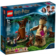 Designer of LEGO Harry Potter Forbidden wood: Meeting Umbridge (75967)