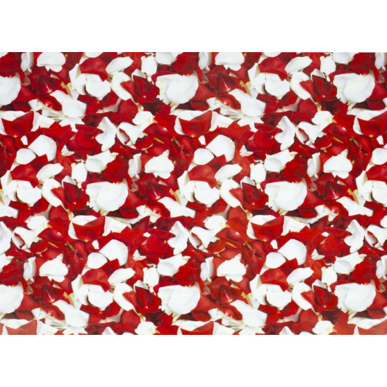 Unison wrapping paper multi-colored 100x70cm (PVM10-86)