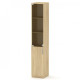 Pencil case showcase Companit KSh-9 oak sonoma