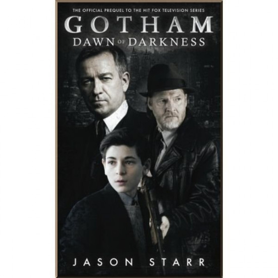  Gotham: Dawn of Darkness (Book 1). Jason Starr. ISBN:9781785651458