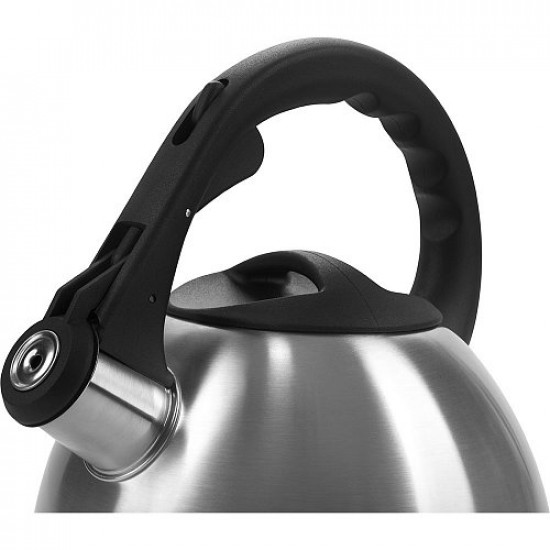 Kettle for stove Polaris Verde 2.2 l Gray (Verde-2.2L)