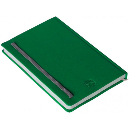 Notebook Berganote Inserto A5 13x21 cm 224 pages checkered Green (2140bn-04)