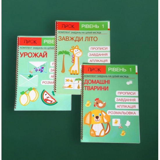 Developmental notebooks PROK Level 1 2-3-4 years Set of 12 notebooks