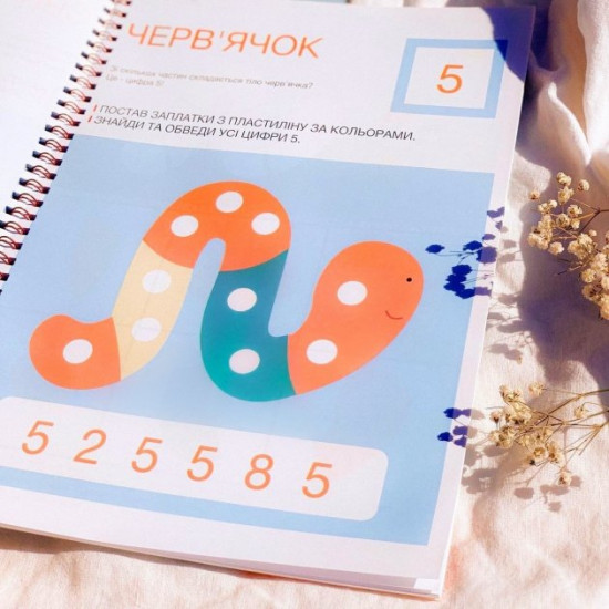 Developmental notebooks PROK Level 1 2-3-4 years Set of 12 notebooks