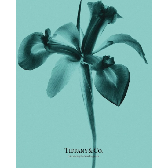  Парфюмированная вода TIFFANY & CO Eau de Parfum 4 мл миниатюра