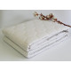 Mattress cover Maison D'or 100x200 cm