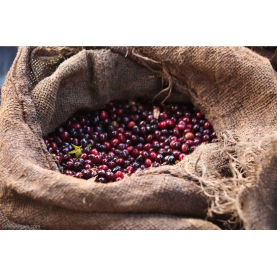  Арабика Эфиопия Джимма (Arabica Ethiopia Djimmah) 500г. Свежеобжаренный кофе