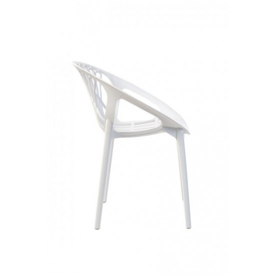 Dining chair P-09/815*590*610 plastic color White Wind Furniture