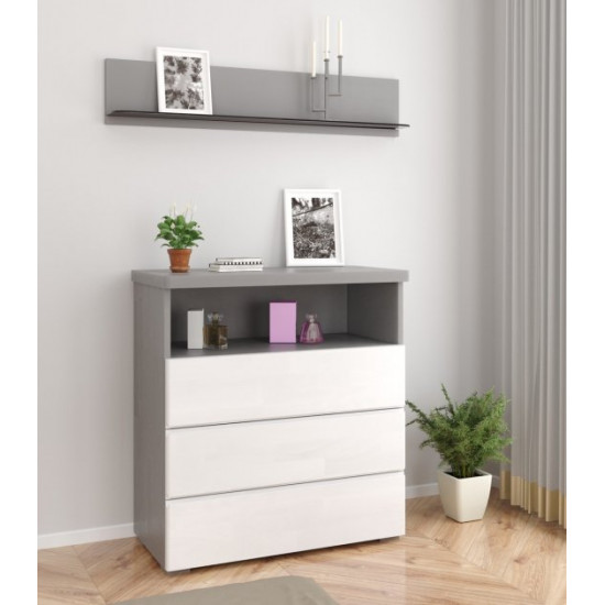 Chest of drawers Arbordrev Regina 3Ш1П beech White with gray