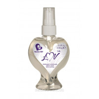 Lubricant Rocks Off Silk Luv Lube (100 ml)