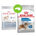 Royal Canin Maxi Light Weight Care - A dry feed for weight reduction for dogs