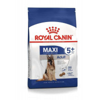 Royal Canin Maxi Adult 5 - Dry dog food is more senior than 5 years