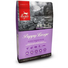 Orijen Puppy Large - A dry feed with meat of chickens and turkeys for puppies of large breeds