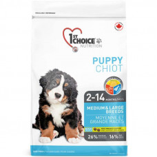 1st Choice (Fest Choys) Puppy Medium & Large Breeds is the Dry feed with chicken for puppies of average and large breeds