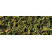 Exo Terra (Ekzo Terra) Forest Moss - Filler the Forest moss for a terrarium