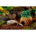 Exo Terra (Ekzo Terra) Coconut Water Dish - A drinking bowl plastic the Coco for reptiles