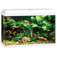 JUWEL (Yuvel) PRIMO LED (70 l) - An aquarium rectangular with an equipment set