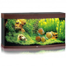 JUWEL (Yuvel) VISION LED (260 l) - An aquarium with an equipment set