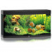 JUWEL (Yuvel) VISION LED (260 l) - An aquarium with an equipment set