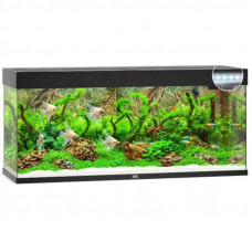 JUWEL (Yuvel) of RIO LED (240 l) - An aquarium with an equipment set