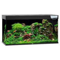 JUWEL (Yuvel) of RIO LED (350 l) - An aquarium with an equipment set