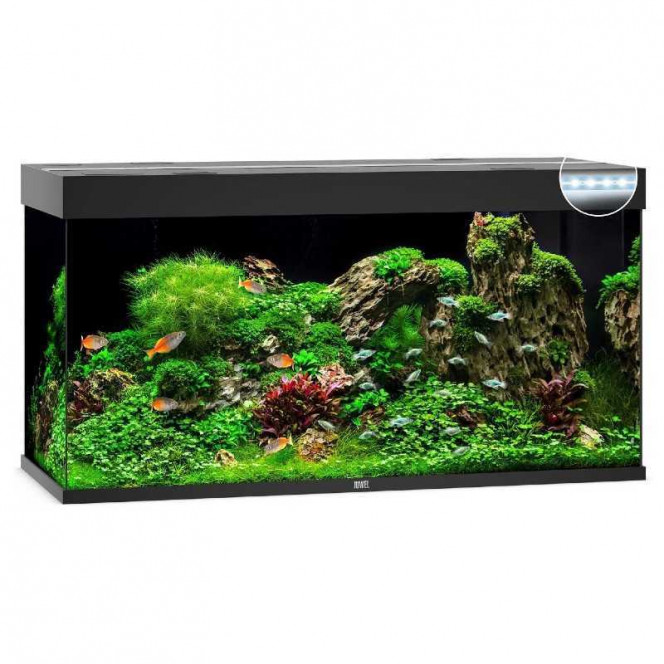 JUWEL (Yuvel) of RIO LED (350 l) - An aquarium with an equipment set