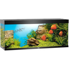 JUWEL (Yuvel) of RIO LED (450 l) - An aquarium with an equipment set