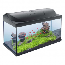 Tetra Starter Line LED (105 l) - An aquarium with an equipment set