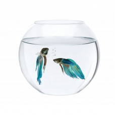 Aquarium sphere (1 l) glass