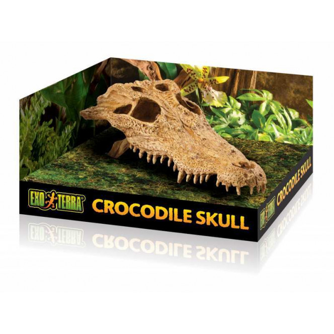 Exo Terra (Ekzo Terra) Crocodile Skull - Scenery shelter Skull of a crocodile