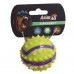 AnimAll (EnimAll) GrizZzly is the Toy a ball with thorns for dogs