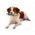 Petstages Cool Teething Stick-the Toy for dogs cooling, for gentle gums