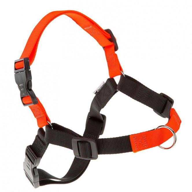 Ferplast of Coach P - A breast-band for training of dogs with the frontal system of fastening