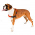 Ferplast of Coach P - A breast-band for training of dogs with the frontal system of fastening