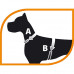 Ferplast of Coach P - A breast-band for training of dogs with the frontal system of fastening