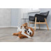 Trixie Sloth – A toy plush for dogs the Idler with a sound