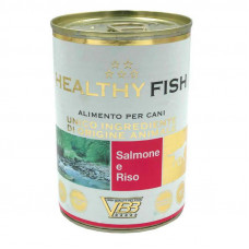 Healthy Fish - A tinned forage with a salmon and rice for dogs (paste)