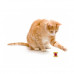 Petstages Dental Tiny Toast Tosser – A toy for cats, in the form of a grain toast