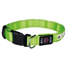 Trixie USB Flash Illuminous - The shining collar for dogs