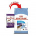 Royal Canin Giant Junior - A dry feed for puppies from 8 to 18/24 months